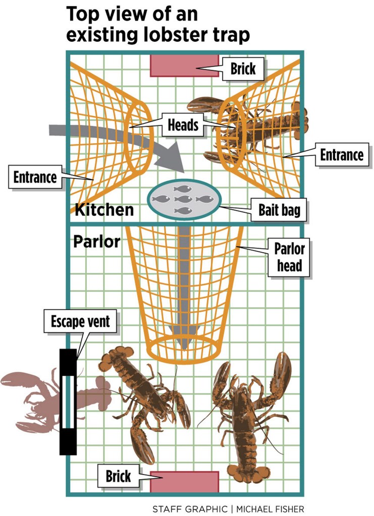 Making a Crayfish Trap That Works –