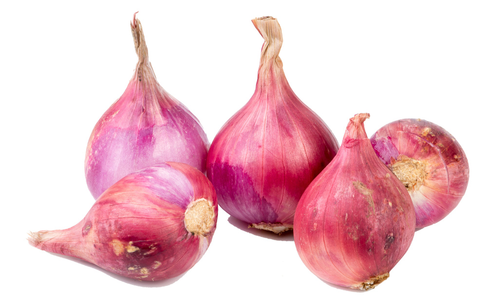 A bunch of red onions or shallots that are still fresh after being  harvested. 10972013 Stock Photo at Vecteezy