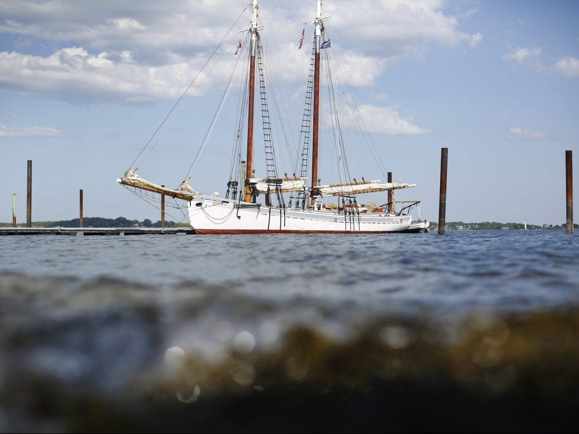 Western Union Schooner - All You Need to Know BEFORE You Go (with