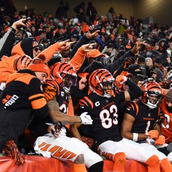 Bengals hold on, finally win in playoffs, 26-19 over Raiders – The Denver  Post