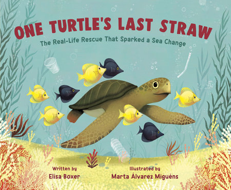 How Heartbreaking Turtle Video Sparked Plastic Straw Bans