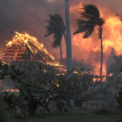 Hawaii Wildfire Settlement