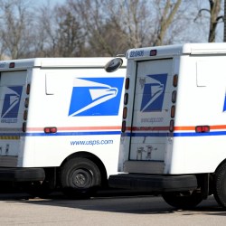 US Election 2024 Postal Service